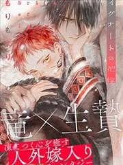 旋风少女漫画数据块看板示意